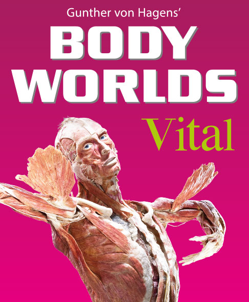 BODY WORLDS