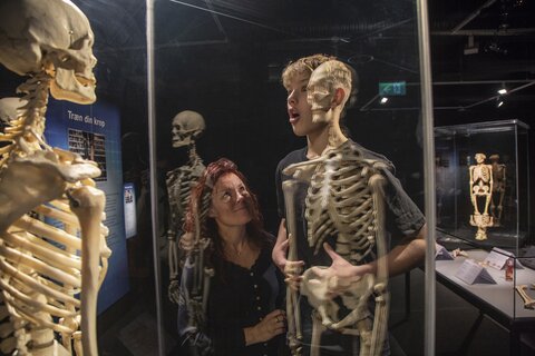 BODY WORLDS